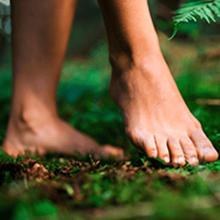 Foto: Ground Picture/Shutterstock.com